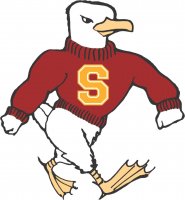 salisbury-sea-gulls-logo.jpg