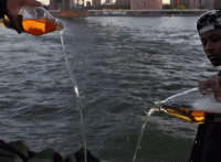 1610990395845.gif