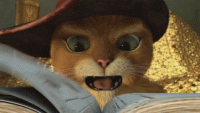 1610991784846.gif