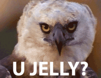 8A006F94-02A1-4EEC-A586-89A3147F7619.gif