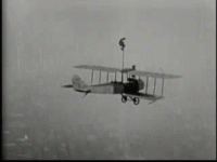 stuntplane.gif