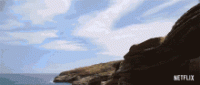 1611190709005.gif