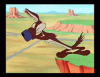 UnfinishedHarmfulDanishswedishfarmdog-max-1mb.gif