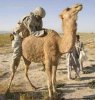 funny-army-pictures-4.jpg