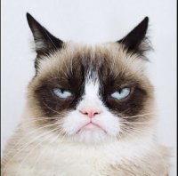 grumpy cat.JPG