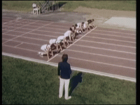 EFD57238-D267-47B9-A9FD-E4A030776E65.gif