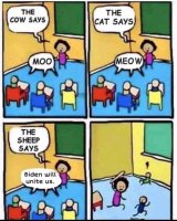 140694849_3991728107528140_1455562694995787498_o.jpg