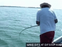 1611964026605.gif