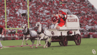 boomer.gif