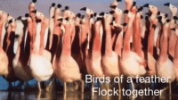 1612309319214.gif