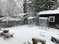 1612702654878.jpeg