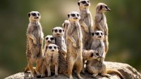 _methode_times_prod_web_bin_80b8c7d4-ac66-11e8-8404-0bee60a6f70d.jpg