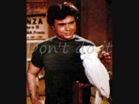 Robert Blake as Baretta.jpg