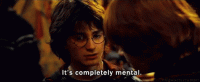 1613084889653.gif