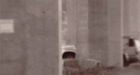 1613168512798.gif