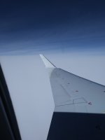 20210213_100341.jpg