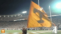 1613440402753.gif