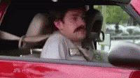 1613583364317.gif