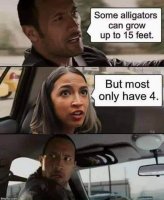 151903622_1524025561135995_6082529414708571663_o.jpg