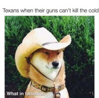 1D0D4350-F8F2-4868-BE75-E399DE02555C.jpeg