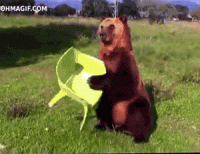 452DAE32-4144-49FA-BD57-F73049825C94.gif