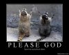 please god.jpg