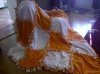 IMG_20110123_113851.jpg