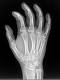 right hand.jpg