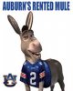 auburn rented mule.jpg