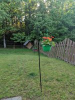 IMG_20190427_184522.jpg