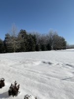 9DF96269-C585-4F76-B1B2-7C57C31D9AF6.jpeg