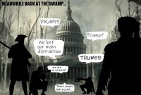 White_House_Swamp_meme.jpg