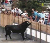 00EB069E-5026-40BF-8CEC-08A2C5801551.gif