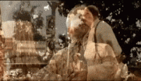 SphericalHospitableFluke-max-1mb.gif