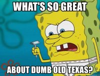 whats-so-great-about-dumb-old-texas.jpg