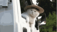 1616551612277.gif