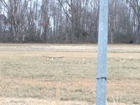F6A8CA76-1479-4F73-B3E9-BD01719AE685.jpeg
