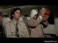 Airplane Suicide Gif.gif