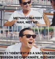 vaccinated checkmate.jpeg