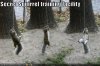 squirrels.jpg