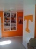 Vols Pic 1.jpg