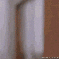 1620506065143.gif