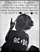 86B3D81A-E5BA-4215-8BEF-7C474874A7D2.jpeg