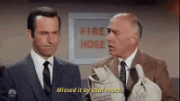 1621482929309.gif