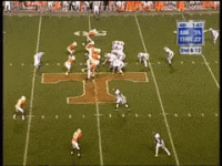 Fumble5.gif