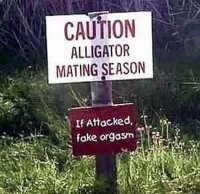 Alligator Warning.jpg