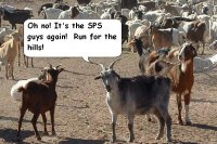 SPS goats.JPG