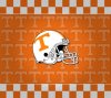 Tennessee_Volunteers.jpg
