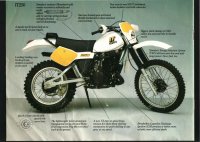 1981 IT 250.jpg