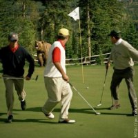 Golf in the wilderness.jpg